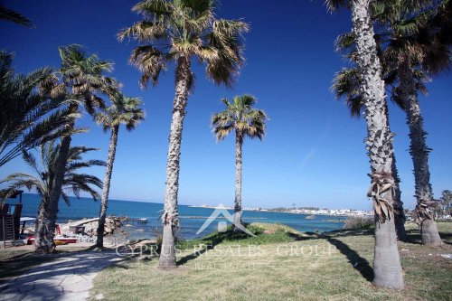 Byzantine castle in Paphos harbor through the lush palms, Cyprus 