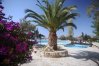 Leptos Kamares Village Club House communal swimming pool in Tala, Cyprus.