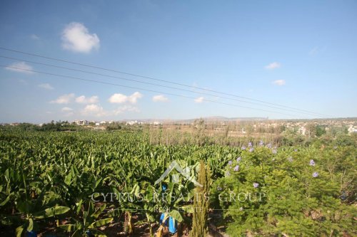 Lush banana plantations on the coast of St George, Paphos, Cyprus